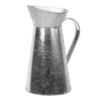 Metal Jug -Home Style Sales 12909524 5364894568265330