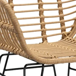 Ronnie Rattan Dining Chair - Set Of 2 -Home Style Sales 13644186 1804997056966623