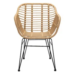 Ronnie Rattan Dining Chair - Set Of 2 -Home Style Sales 13644186 5744997056744611