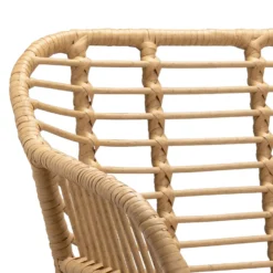 Ronnie Rattan Dining Chair - Set Of 2 -Home Style Sales 13644186 6854997056909860