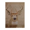Stag Damask Wall Plaque - 30x40cm -Home Style Sales 14820974 1595057940367068
